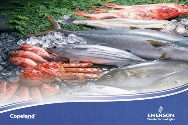 冷庫常見故障 冷庫常見故障